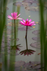 StarCity_Golf_2024_00128.jpg