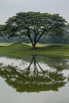 StarCity_Golf_2024_00598.jpg