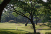 StarCity_Golf_2023_00461.jpg