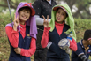 StarCity_Golf_2023_00129.jpg