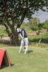 StarCity_Golf_2023_00199.jpg