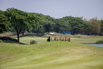 StarCity_Golf_2023_00306.jpg
