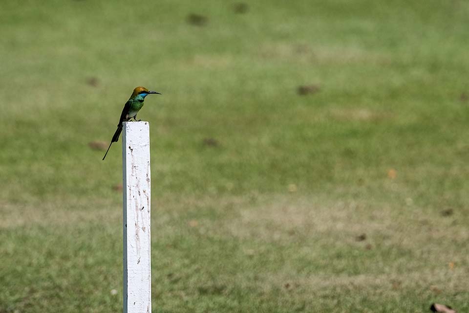 StarCity_Golf_2023_00342.jpg
