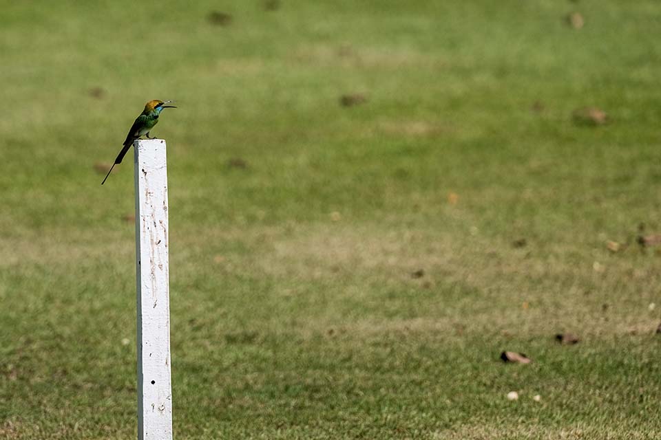 StarCity_Golf_2023_00343.jpg