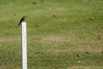 StarCity_Golf_2023_00343.jpg