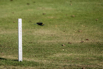StarCity_Golf_2023_00344.jpg