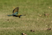 StarCity_Golf_2023_00345.jpg