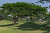 StarCity_2021_00137.jpg