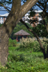 StarCity_2021_00139.jpg