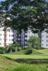 StarCity_2021_00140.jpg