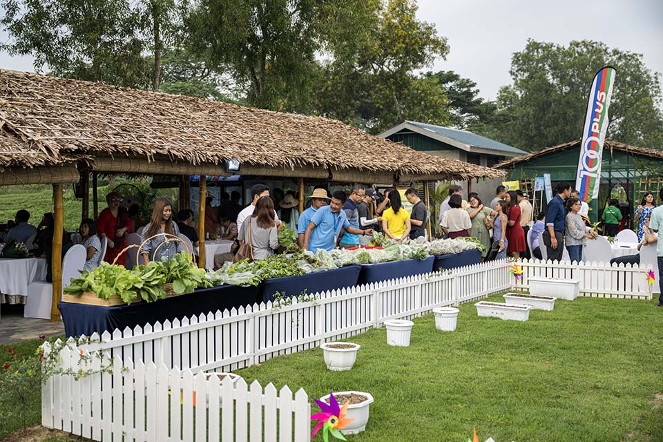 VeggieFarm_2022_00423.jpg