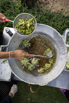 VeggieFarm_2022_00460.jpg