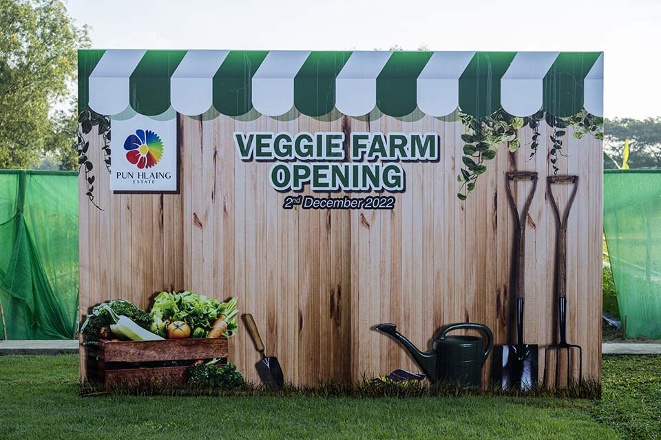 VeggieFarm_2022_00159.jpg