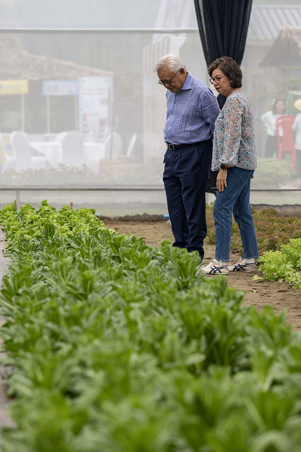 VeggieFarm_2022_00258.jpg