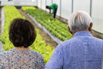 VeggieFarm_2022_00260.jpg