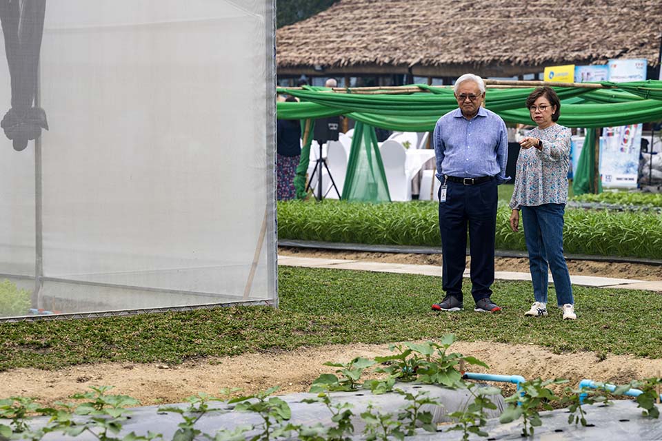 VeggieFarm_2022_00261.jpg