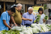 VeggieFarm_2022_00273.jpg