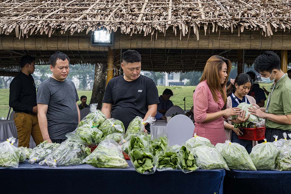 VeggieFarm_2022_00312.jpg