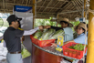 VeggieFarm_2022_00328.jpg