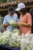 VeggieFarm_2022_00362.jpg