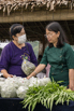 VeggieFarm_2022_00373.jpg