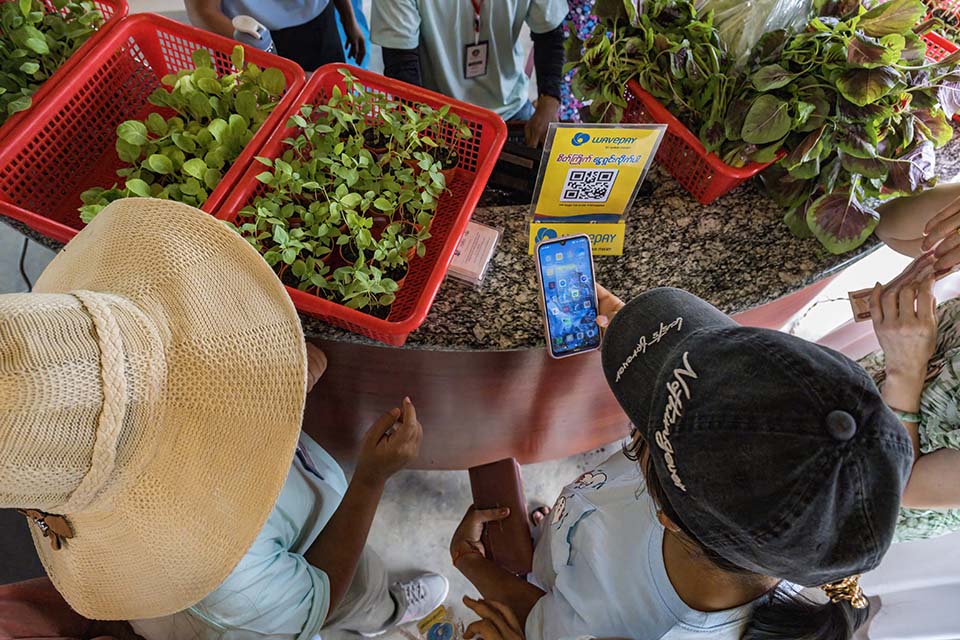 VeggieFarm_2022_00378.jpg