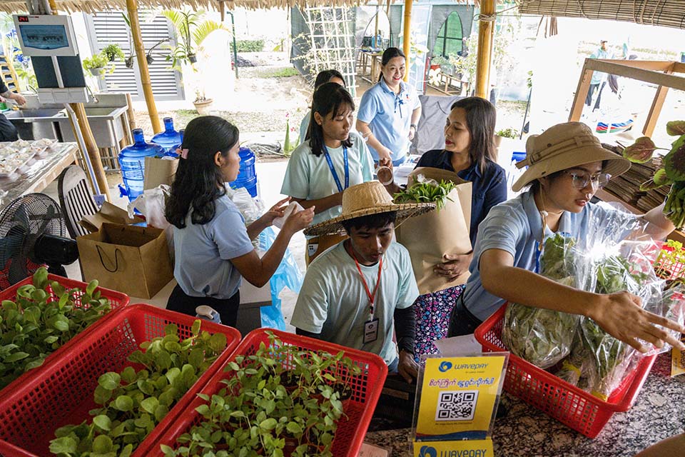 VeggieFarm_2022_00380.jpg