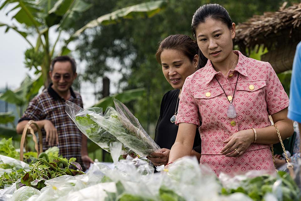 VeggieFarm_2022_00394.jpg