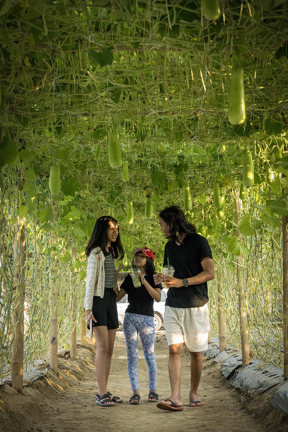 StarCity_2023_01095.jpg