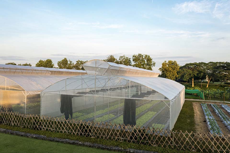 VeggieFarm_2022_00001.jpg
