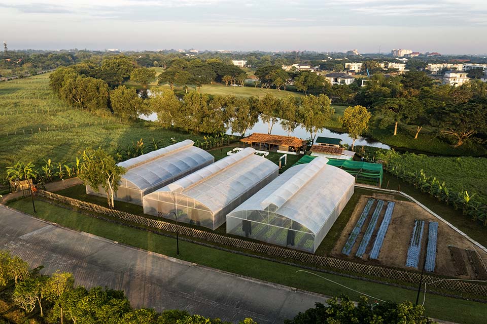 VeggieFarm_2022_00002.jpg