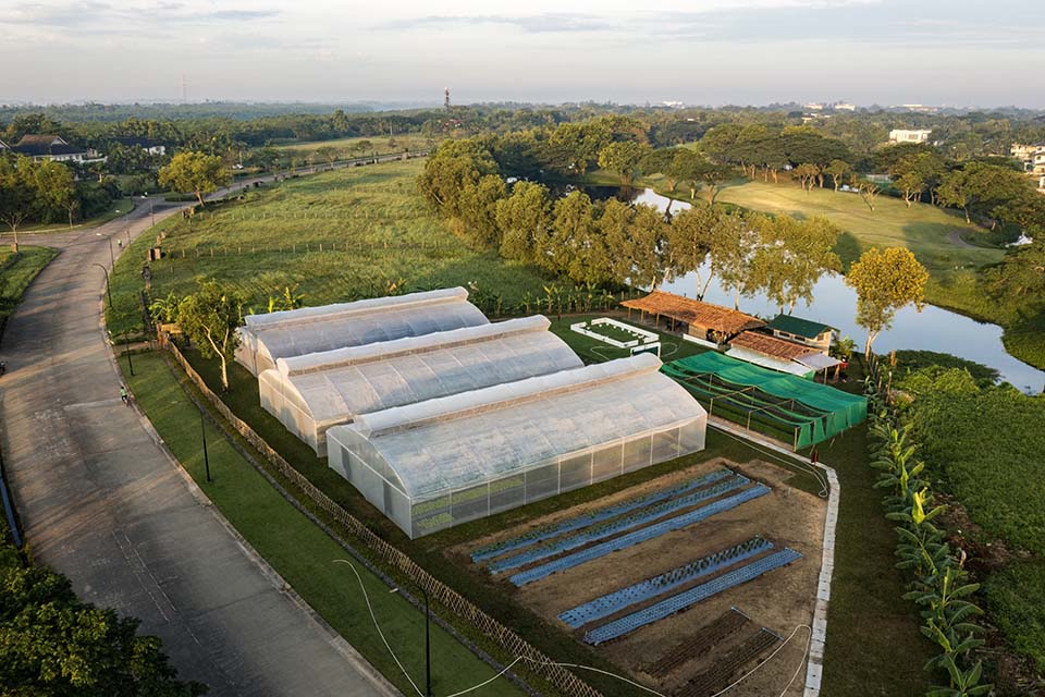 VeggieFarm_2022_00003.jpg