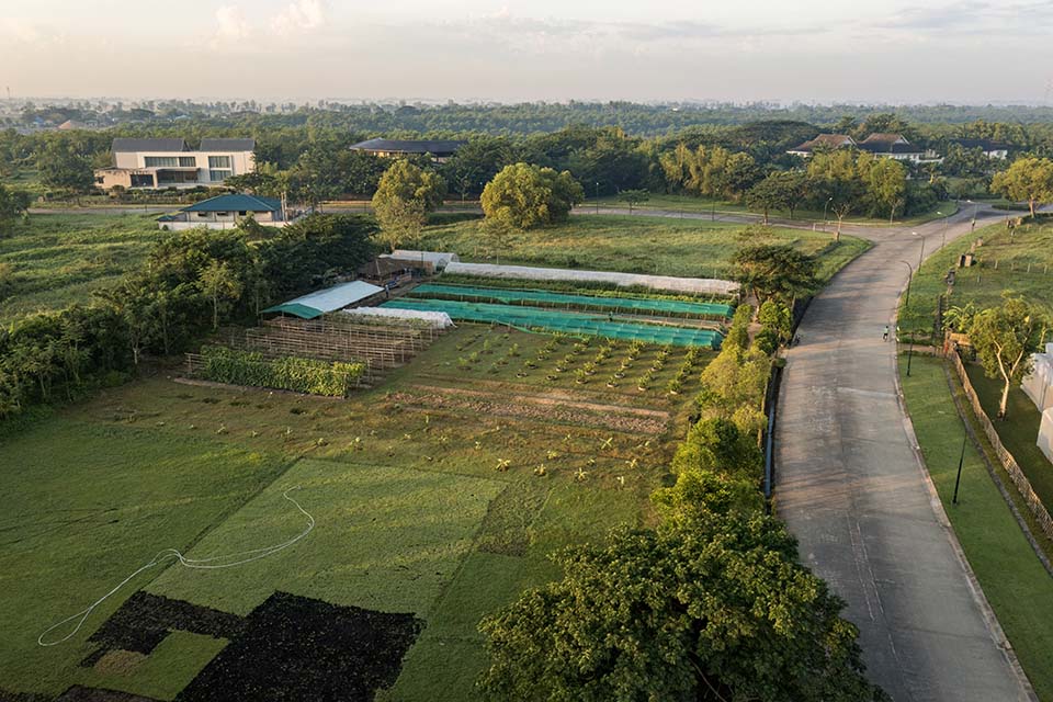 VeggieFarm_2022_00004.jpg