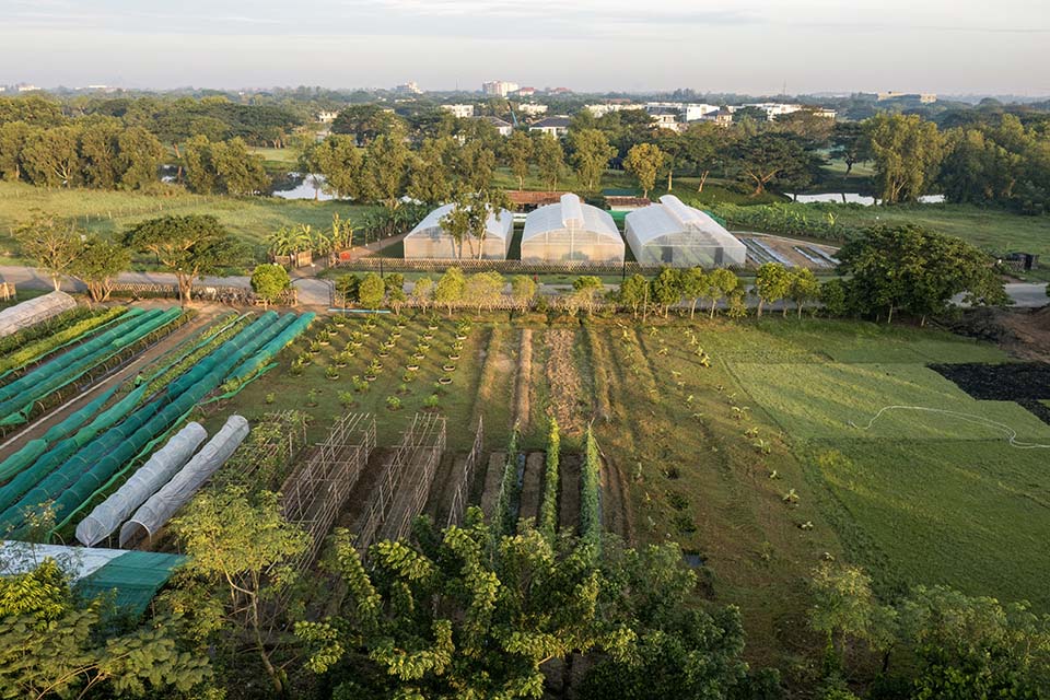 VeggieFarm_2022_00009.jpg