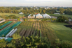 VeggieFarm_2022_00009.jpg