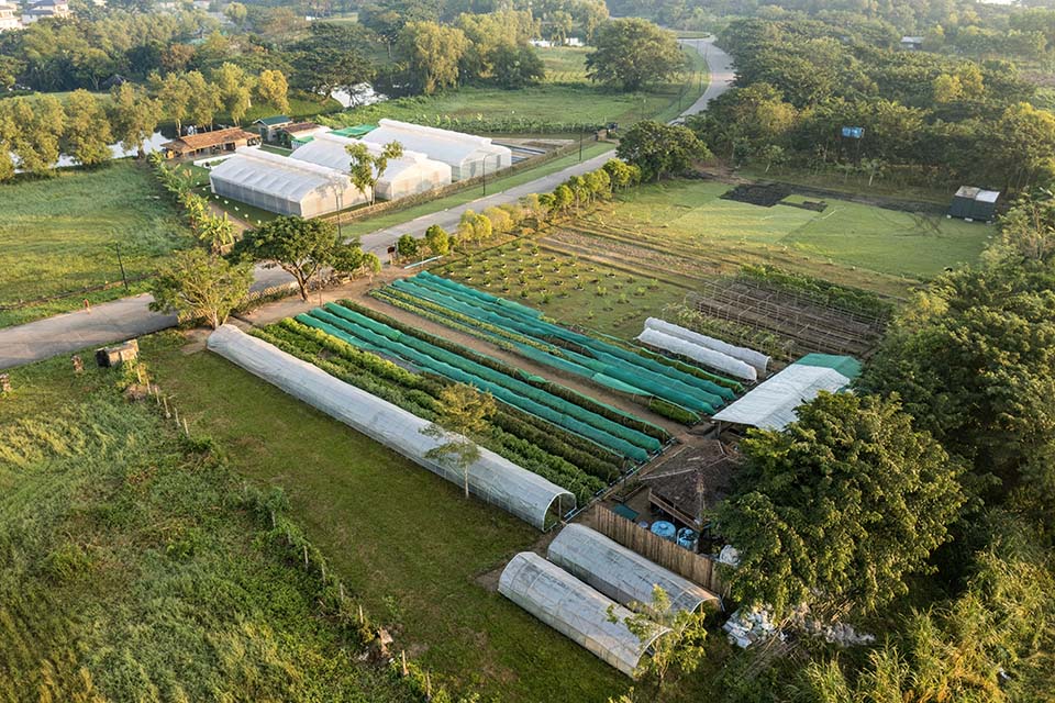 VeggieFarm_2022_00011.jpg