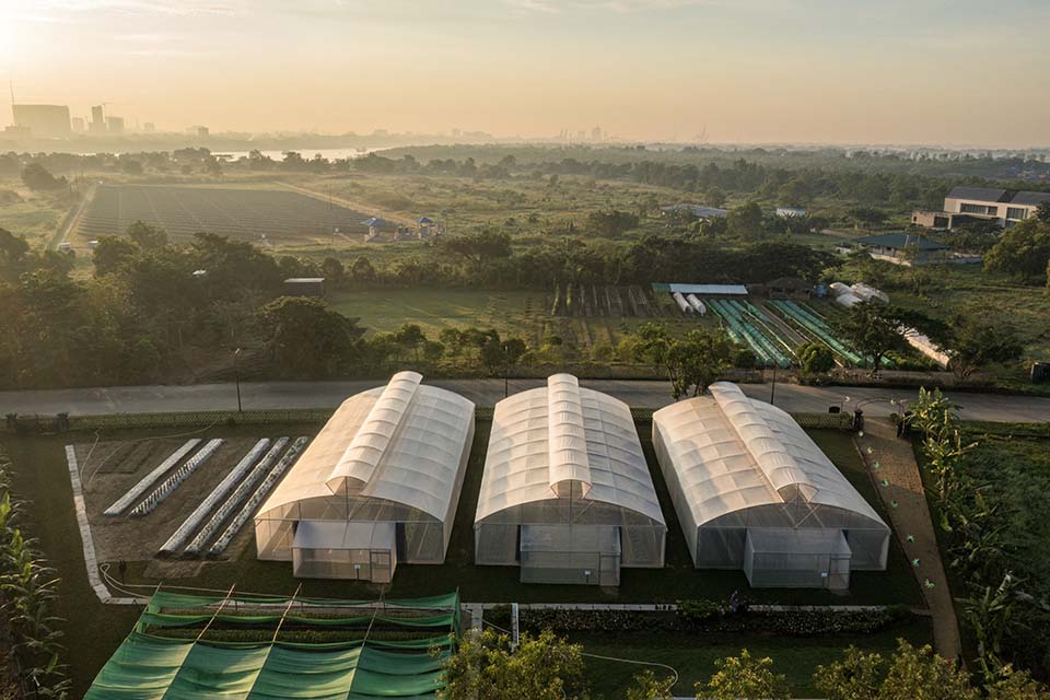 VeggieFarm_2022_00016.jpg