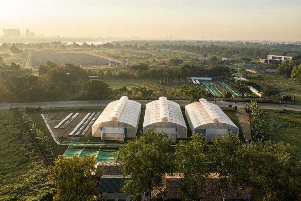 VeggieFarm_2022_00017.jpg