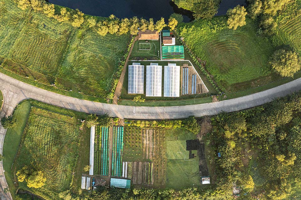 VeggieFarm_2022_00021.jpg