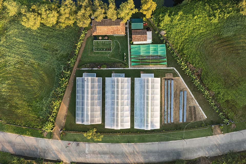 VeggieFarm_2022_00023.jpg