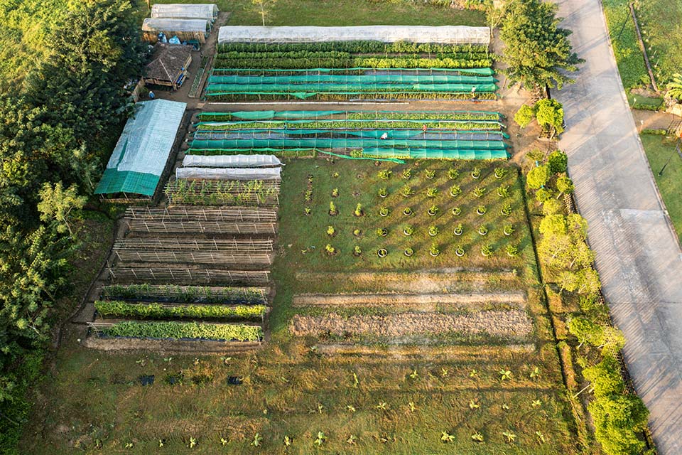 VeggieFarm_2022_00024.jpg