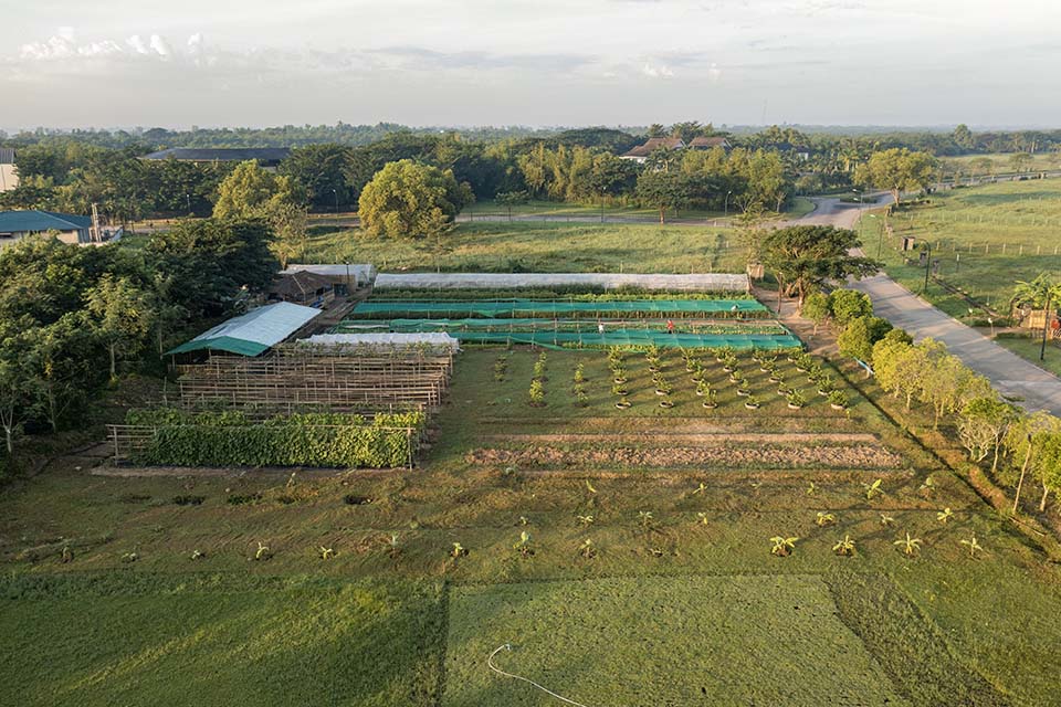 VeggieFarm_2022_00025.jpg
