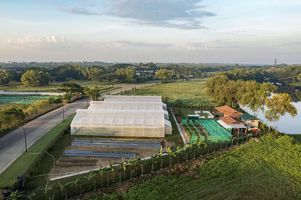 VeggieFarm_2022_00029.jpg