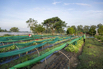 VeggieFarm_2022_00044.jpg