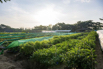 VeggieFarm_2022_00084.jpg