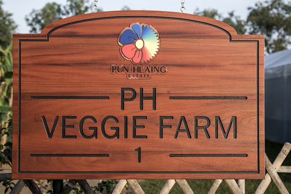 VeggieFarm_2022_00085.jpg