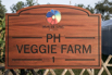 VeggieFarm_2022_00085.jpg