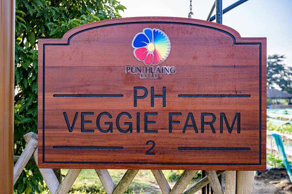 VeggieFarm_2022_00087.jpg