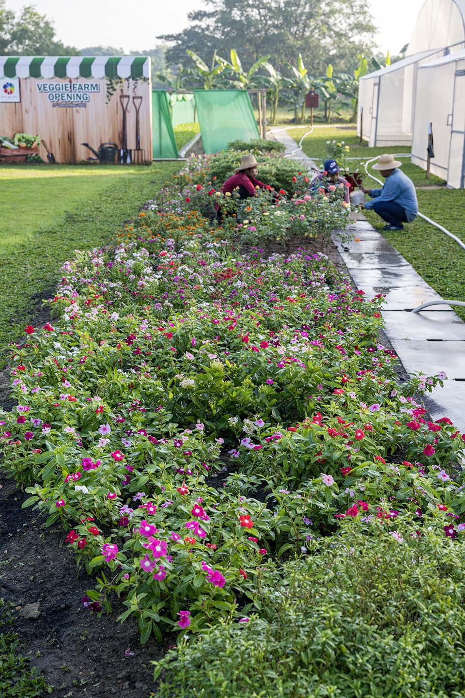 VeggieFarm_2022_00167.jpg