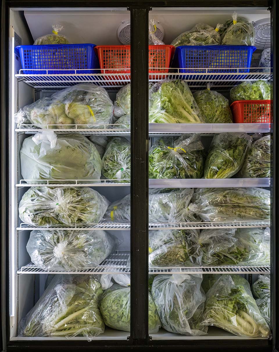 VeggieFarm_2022_00233.jpg